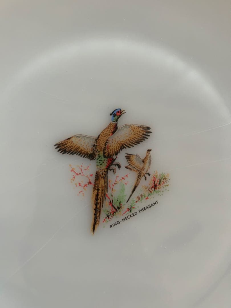 ファイヤーキング プレート　ゲームバード５枚　フェデラル マグカップ 2個セット