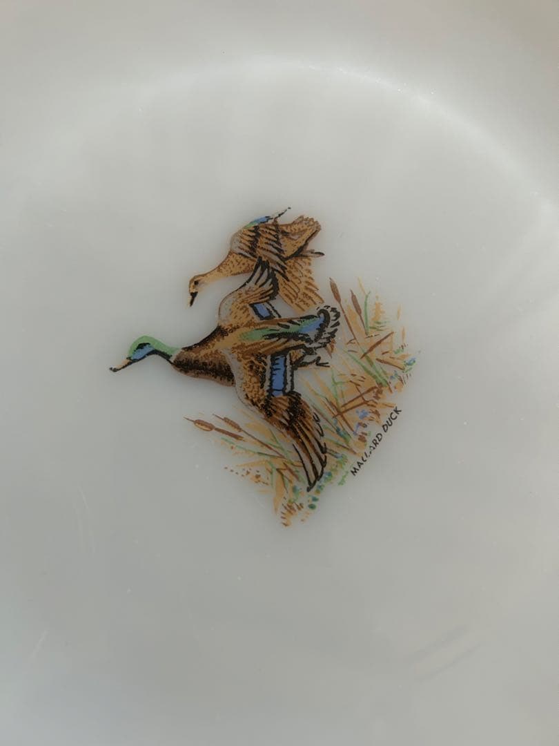 ファイヤーキング プレート　ゲームバード５枚　フェデラル マグカップ 2個セット