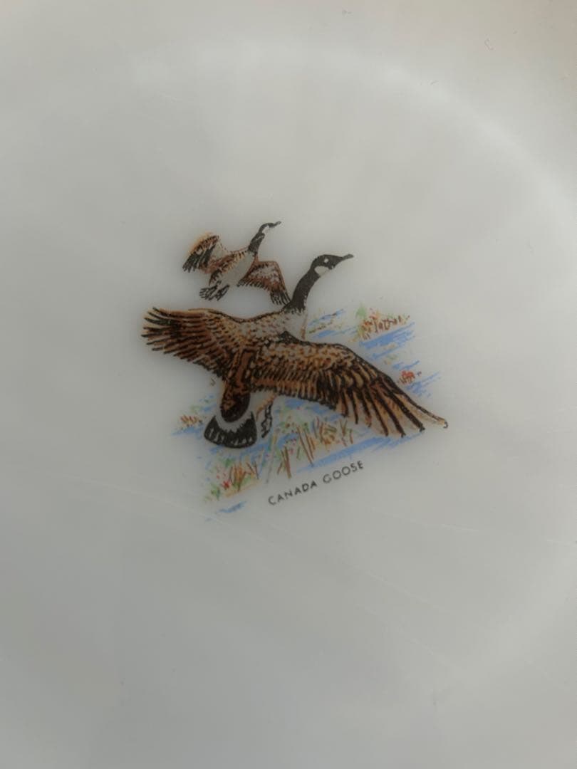 ファイヤーキング プレート　ゲームバード５枚　フェデラル マグカップ 2個セット