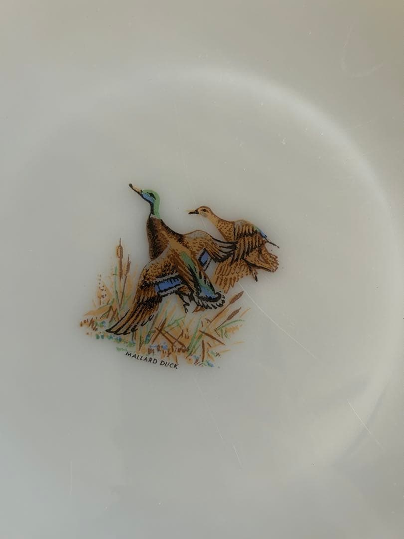 ファイヤーキング プレート　ゲームバード５枚　フェデラル マグカップ 2個セット