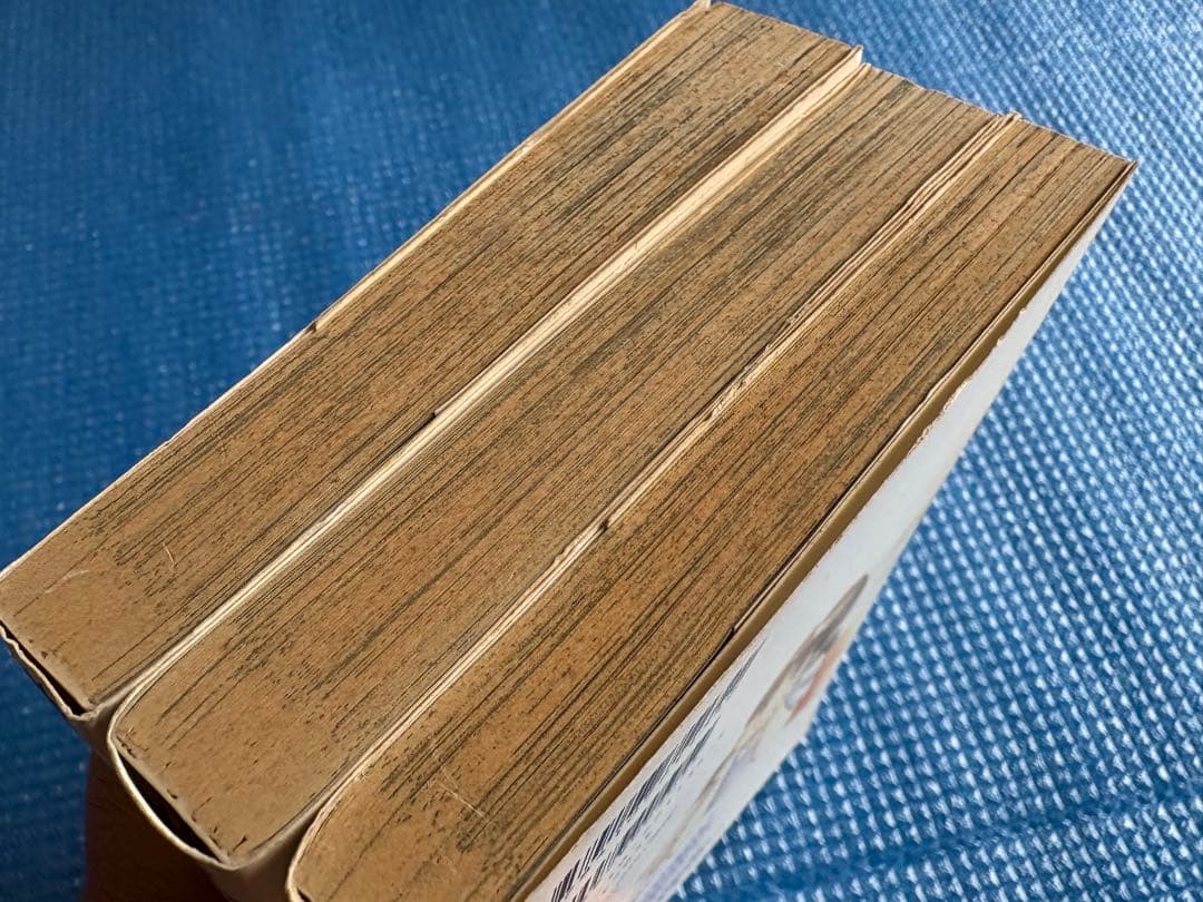 【稀少・初版・全巻セット】虹色のウサギ1~3 山口育孝 新潮社　コミックバンチ