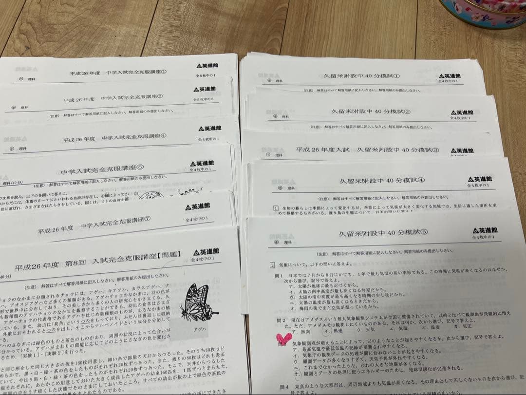 エレファントさん専用　英進館 小6TZ 理科 算数国語プリント久留米附設中学校