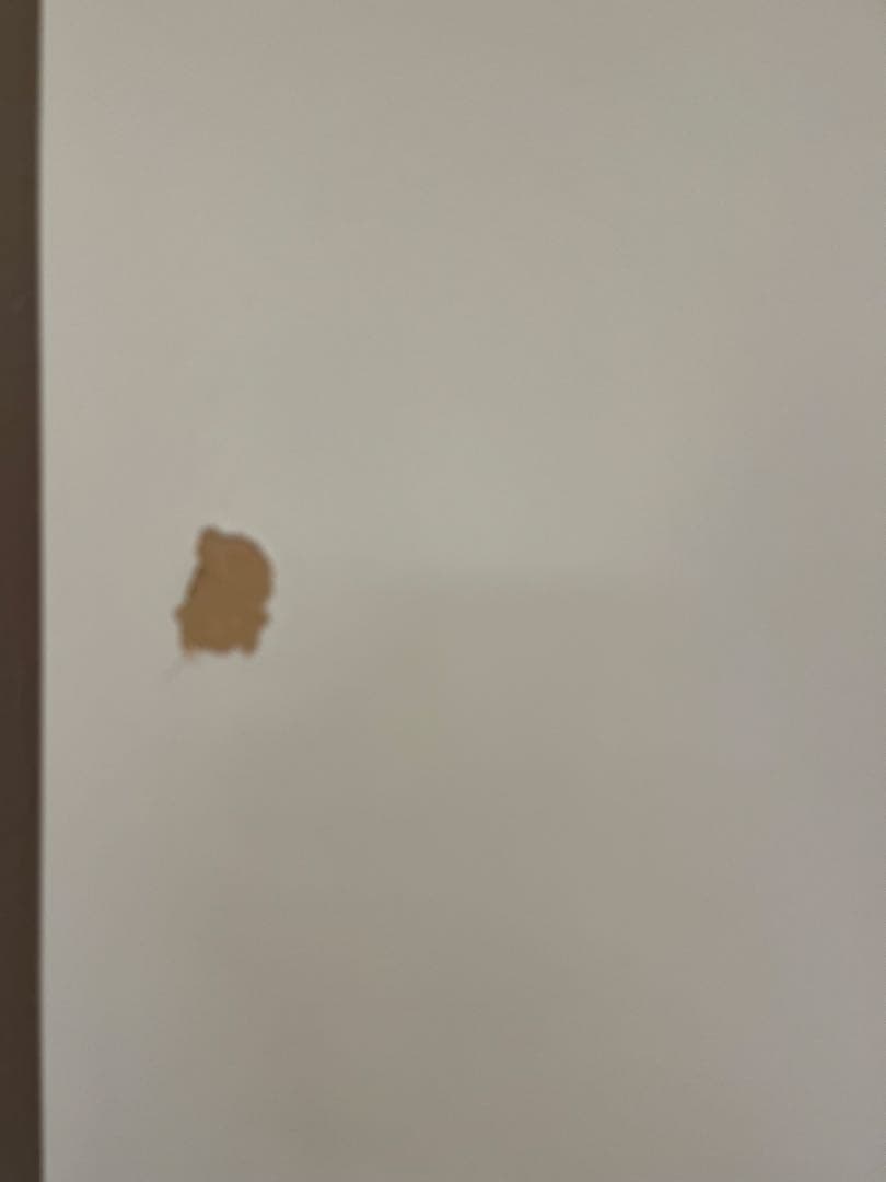 ホワイト 食器棚 ガラス扉付き