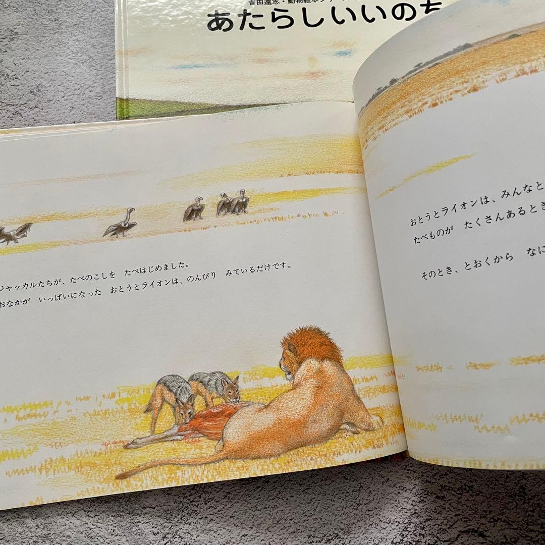 吉田遠志　動物絵本シリーズ　6冊セット