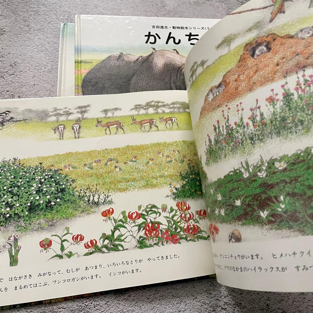 吉田遠志　動物絵本シリーズ　6冊セット