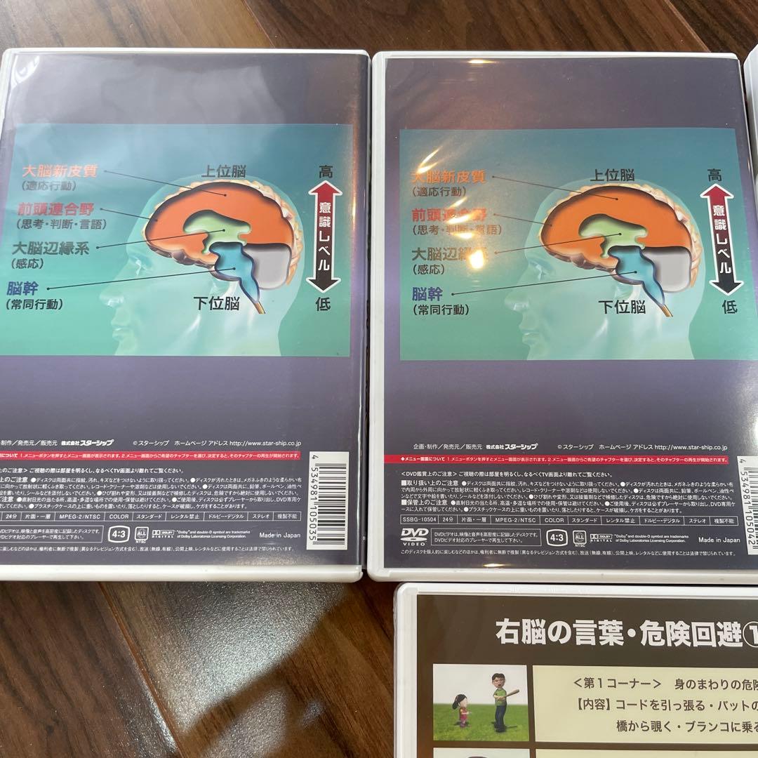 星みつる　右脳の言葉シリーズDVD6巻セット　発達教材