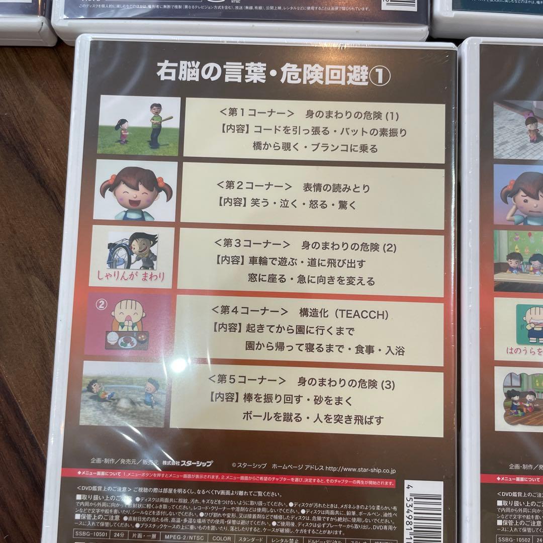 星みつる　右脳の言葉シリーズDVD6巻セット　発達教材