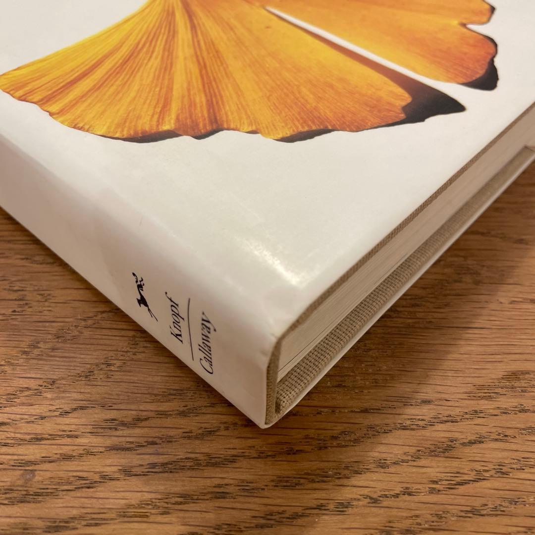 PASSAGE アーヴィング・ペン　アーヴィンペン　パッセージ