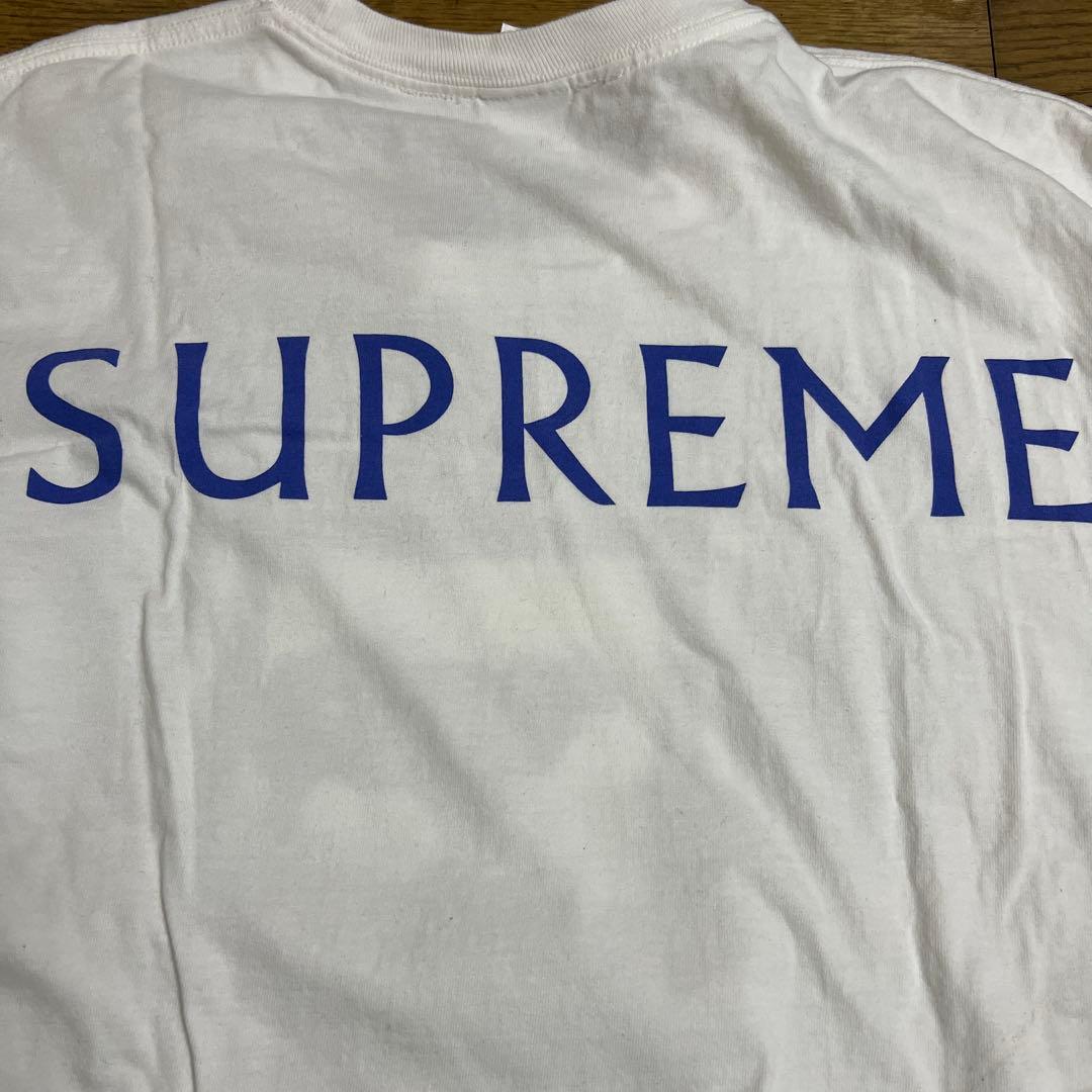 【XXL】25ss supreme Damien hirst ダミアンハースト