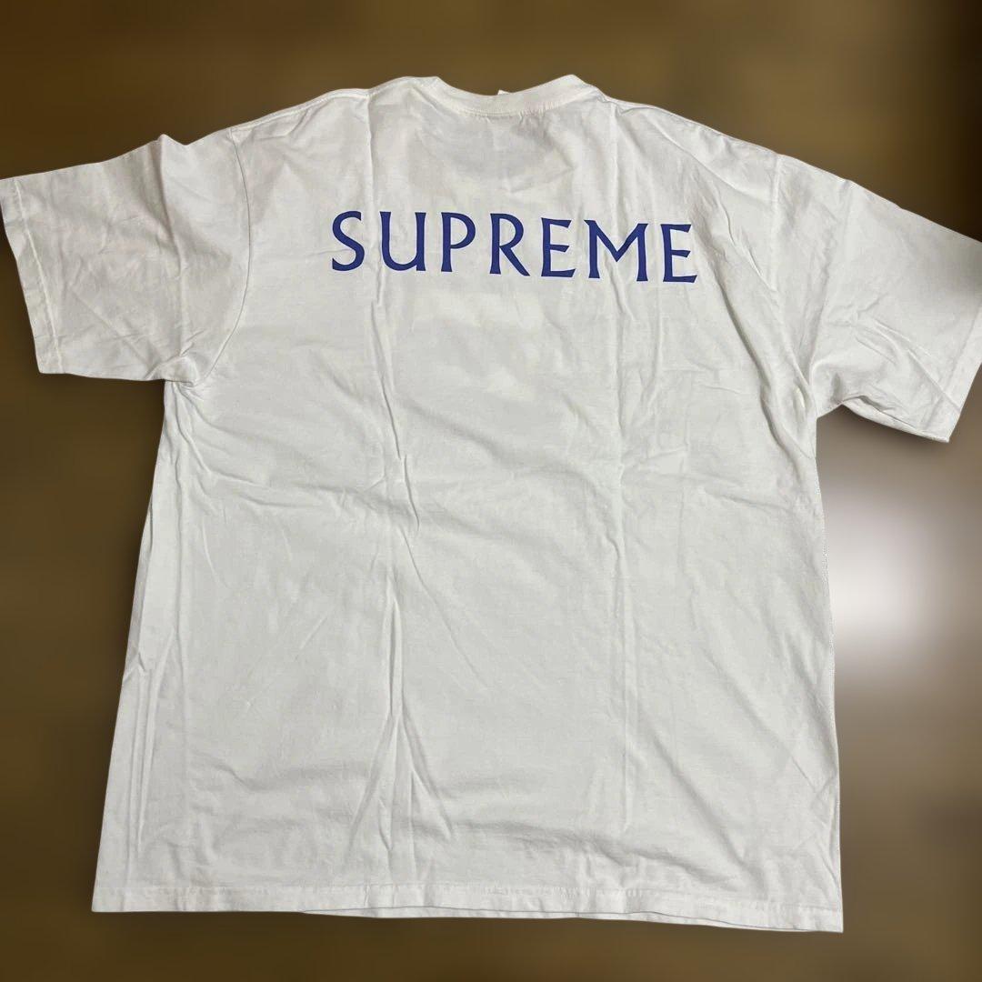 【XXL】25ss supreme Damien hirst ダミアンハースト