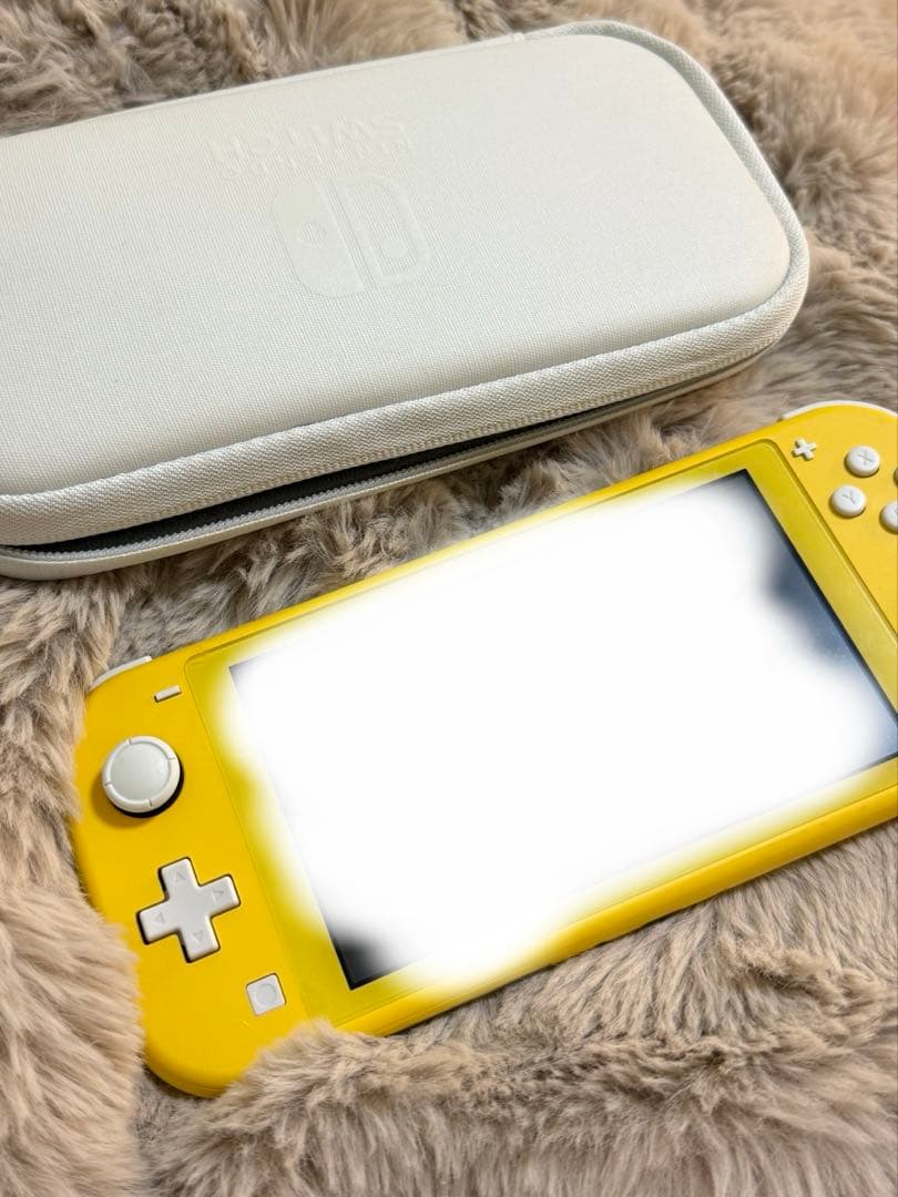 Switch らいと　　カセット２つ　　ケース　　セット