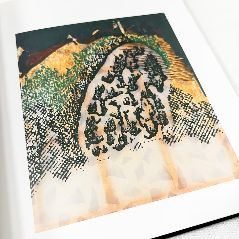 Sigmar Polke/ シグマー・ポルケ, Paintings 作品集.