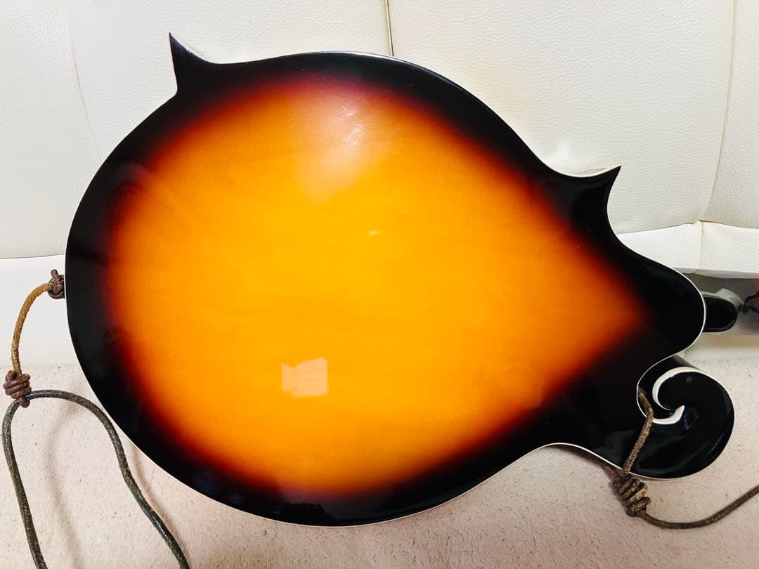 PLAYTECH Fタイプ フラットマンドリン