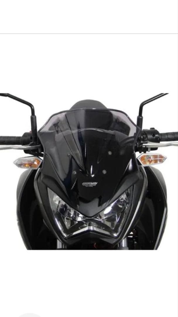 Z250 MRAスクリーン