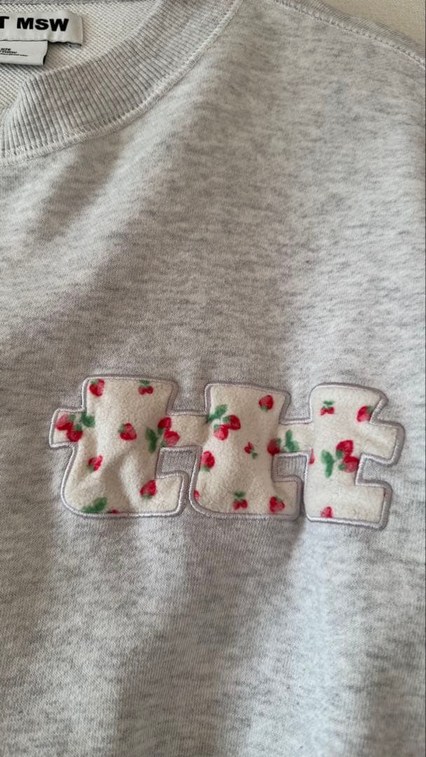 TTT MSW fruits sweat Mサイズ　グレー
