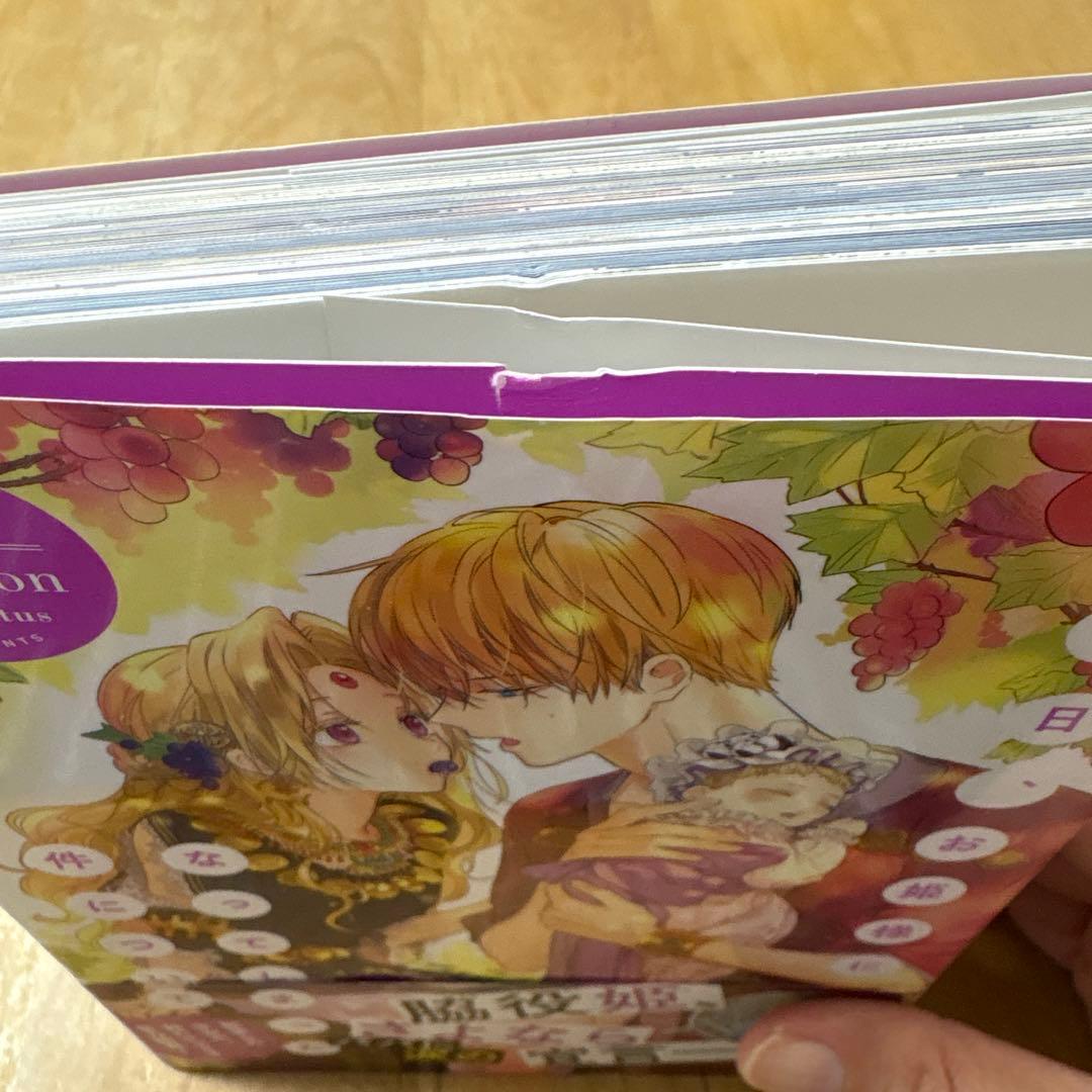 ある日、お姫様になってしまった件について 1~12巻