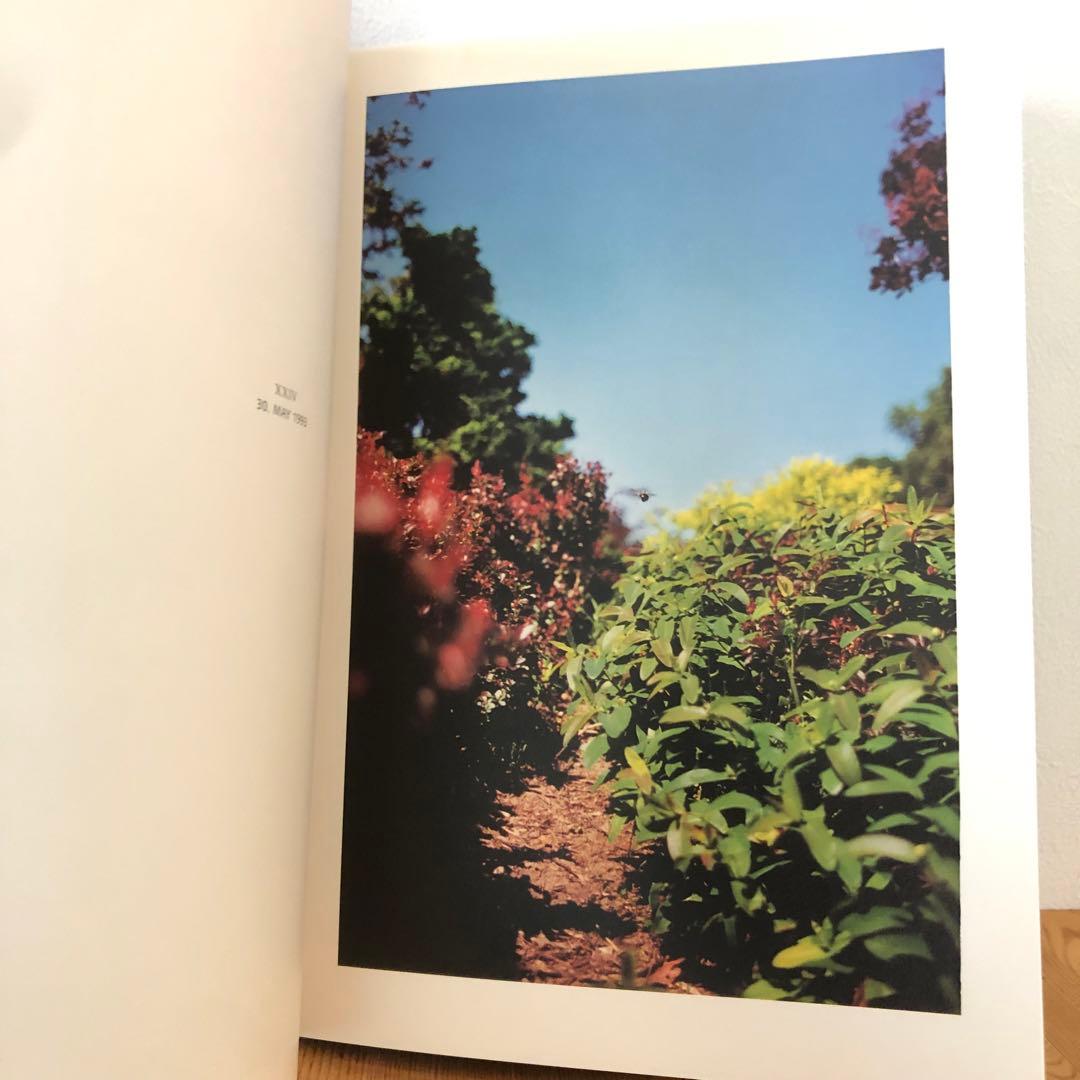 IN YOUR DREAMS／TERRI WEIFENBACH 写真集