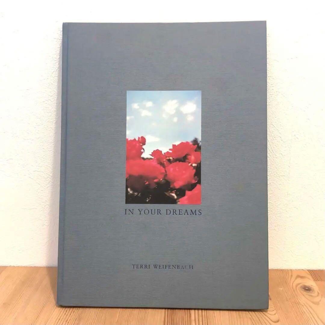 IN YOUR DREAMS／TERRI WEIFENBACH 写真集