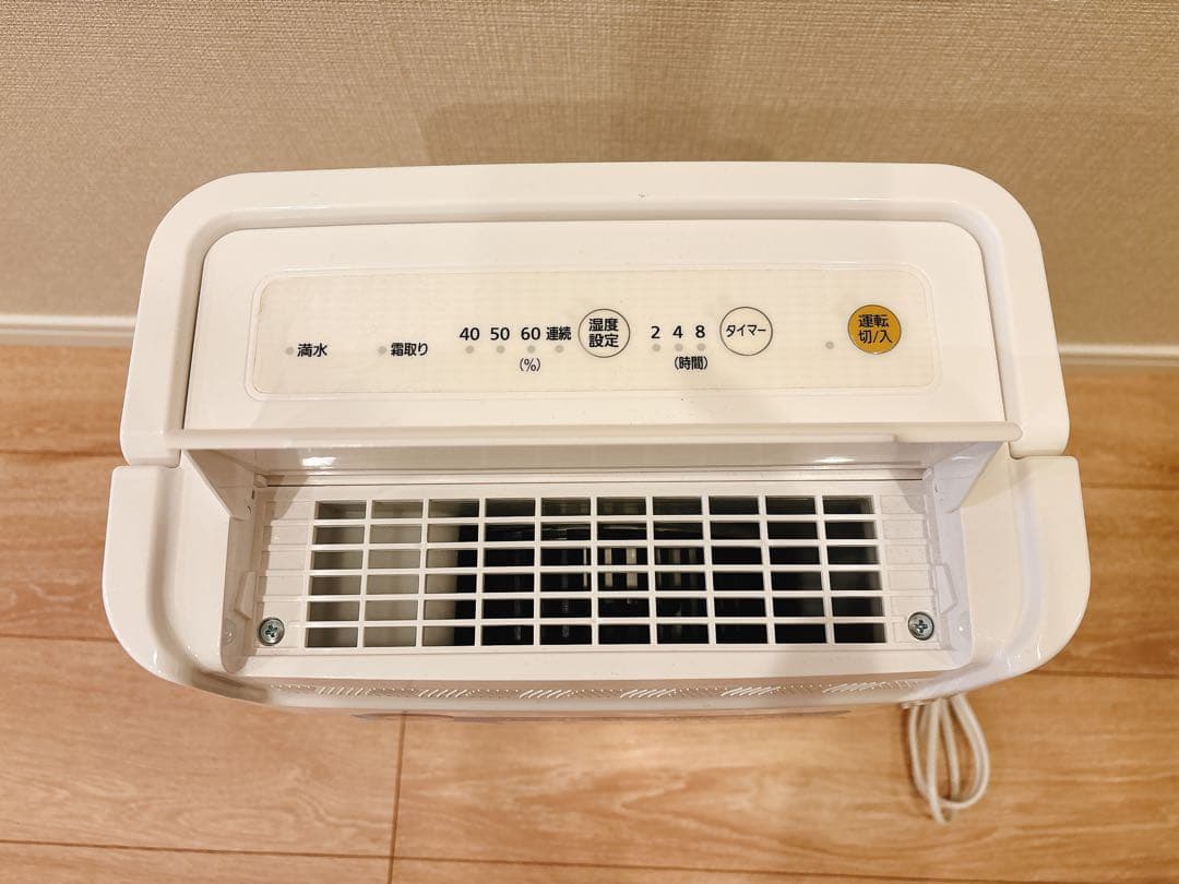 アイリスオーヤマ IRIS OHYAMA 除湿機 衣類乾燥 DCE-6515