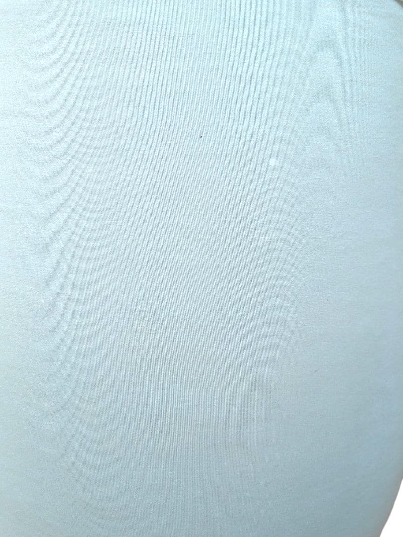 【希少色】yogibo max ヨギボー マックス ピスタチオ