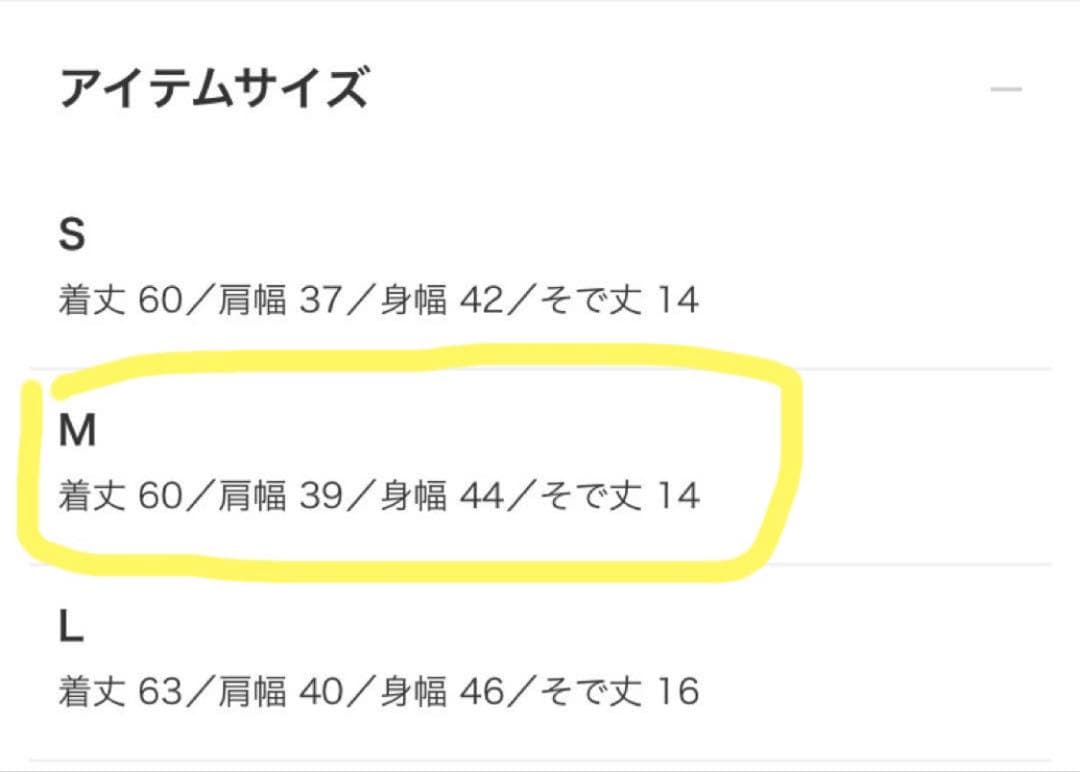 BEAMS GOLF ブラックポロシャツ　スヌーピー