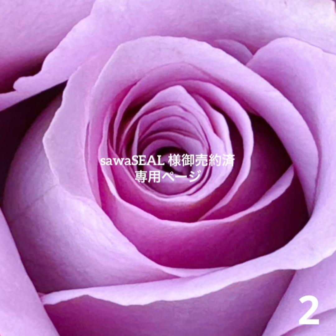 専用◇ロイヤルコペンハーゲンブルーフルーテッドハーフレースプレート19cm未使用