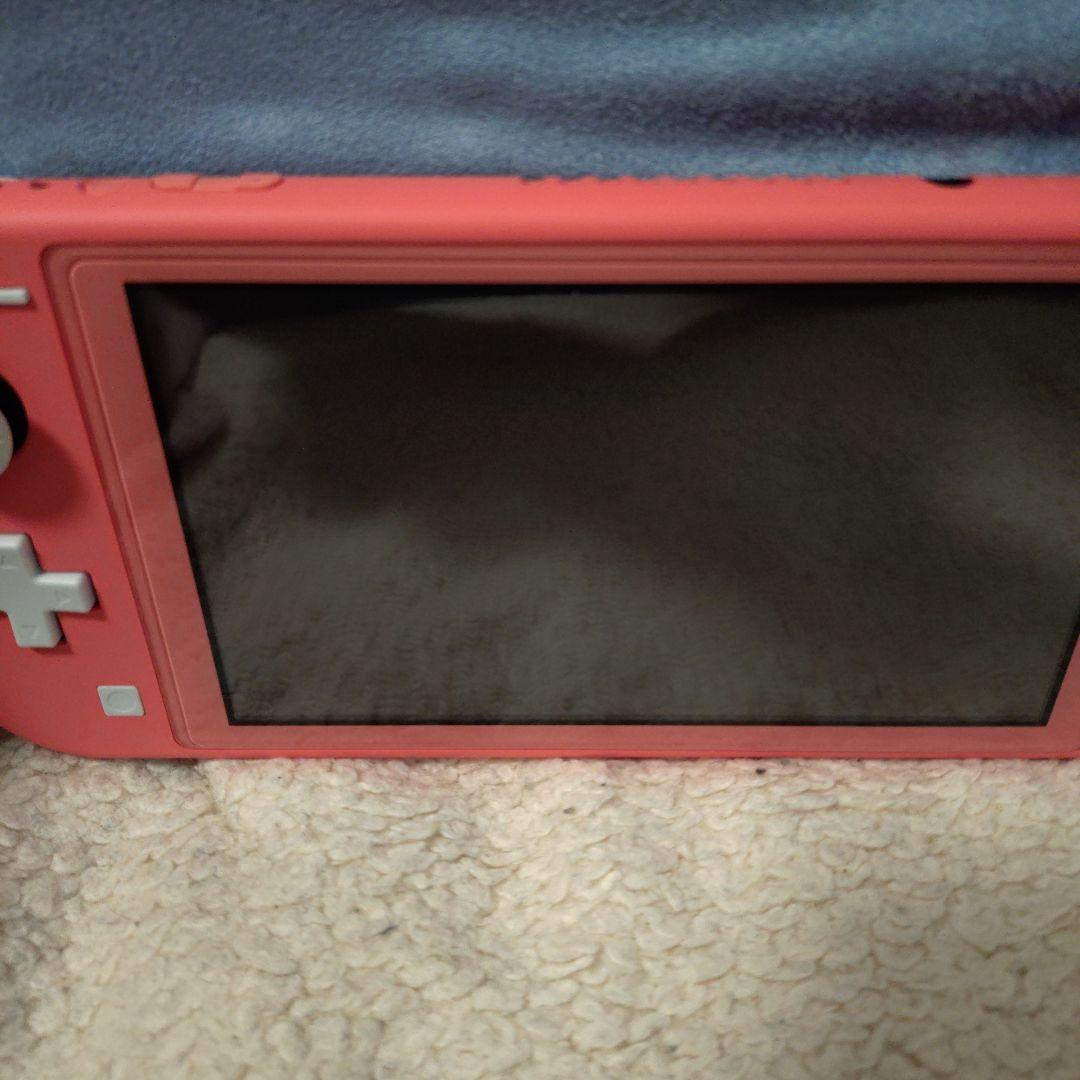 Nintendo Switch ライト どうぶつの森