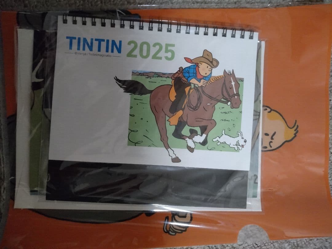 TINTIN　タンタン キャラクターショルダーバッグ