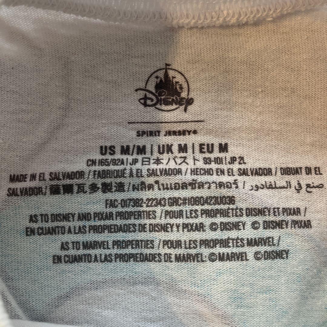 ディズニーワールド限定　スピリットジャージ エプコット