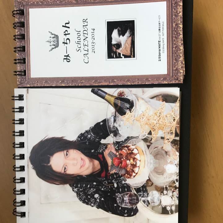 みーちゃん 歌い手 ニコ動 ニコニコ動画