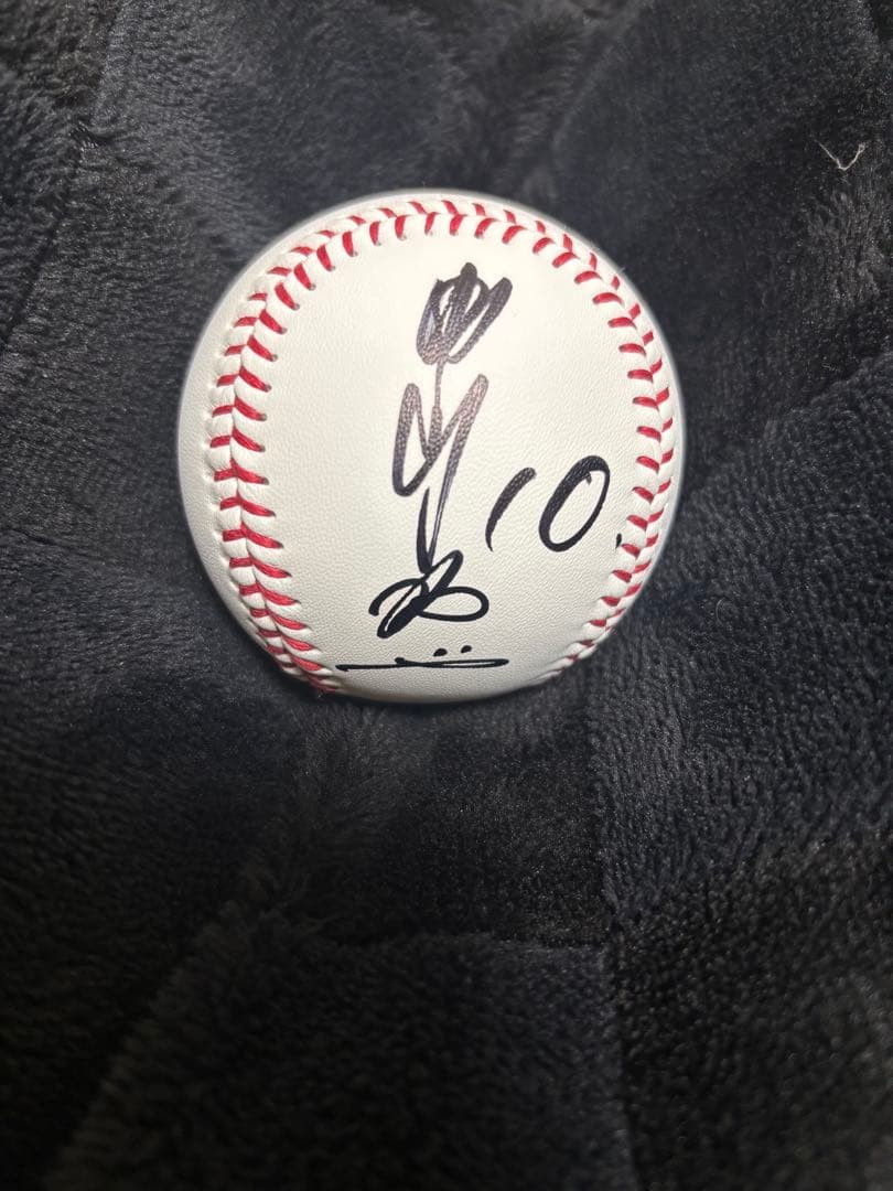 巨人 読売ジャイアンツ 甲斐拓也 直筆 サイン ボール ファンフェスタ 投げ入れ