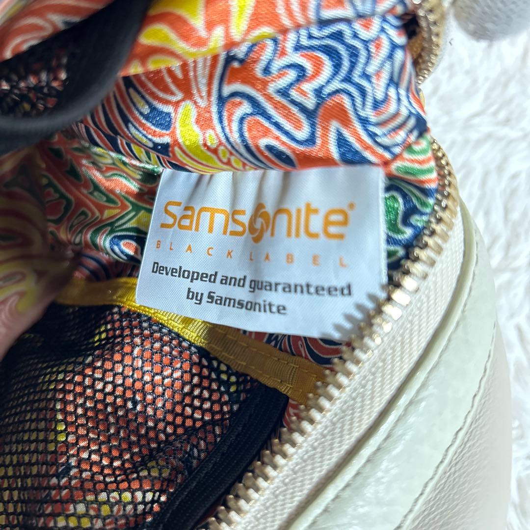 【希少】サムソナイト samsonite BLACK LABELハンドバッグ　白