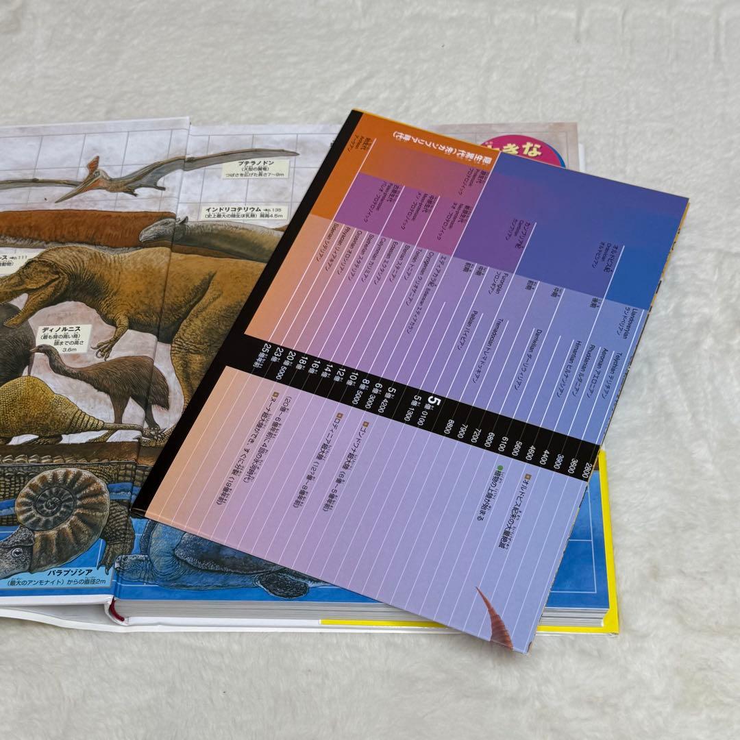 【良品・カバーあり】小学館の図鑑NEO 全巻20冊セット