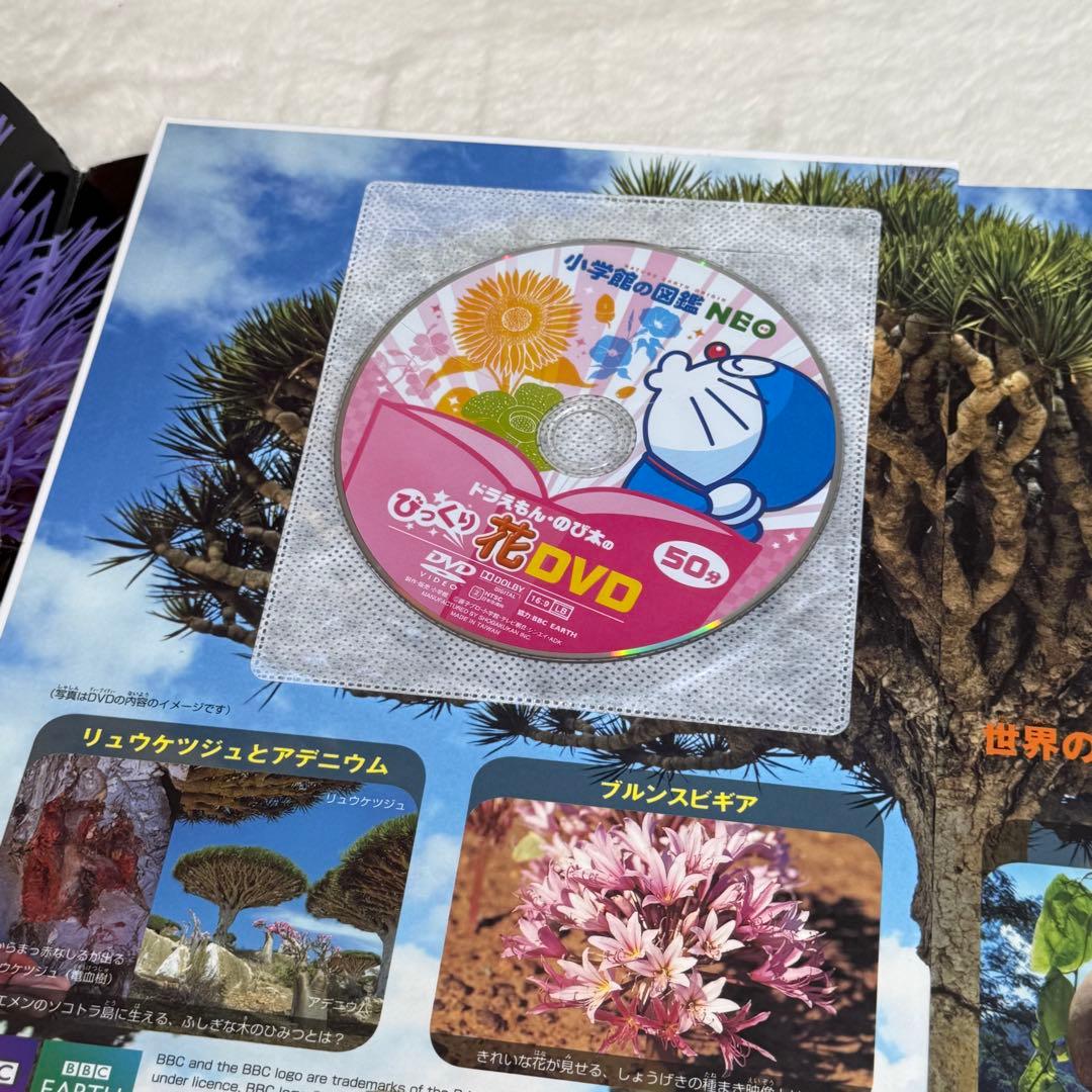 【良品・カバーあり】小学館の図鑑NEO 全巻20冊セット