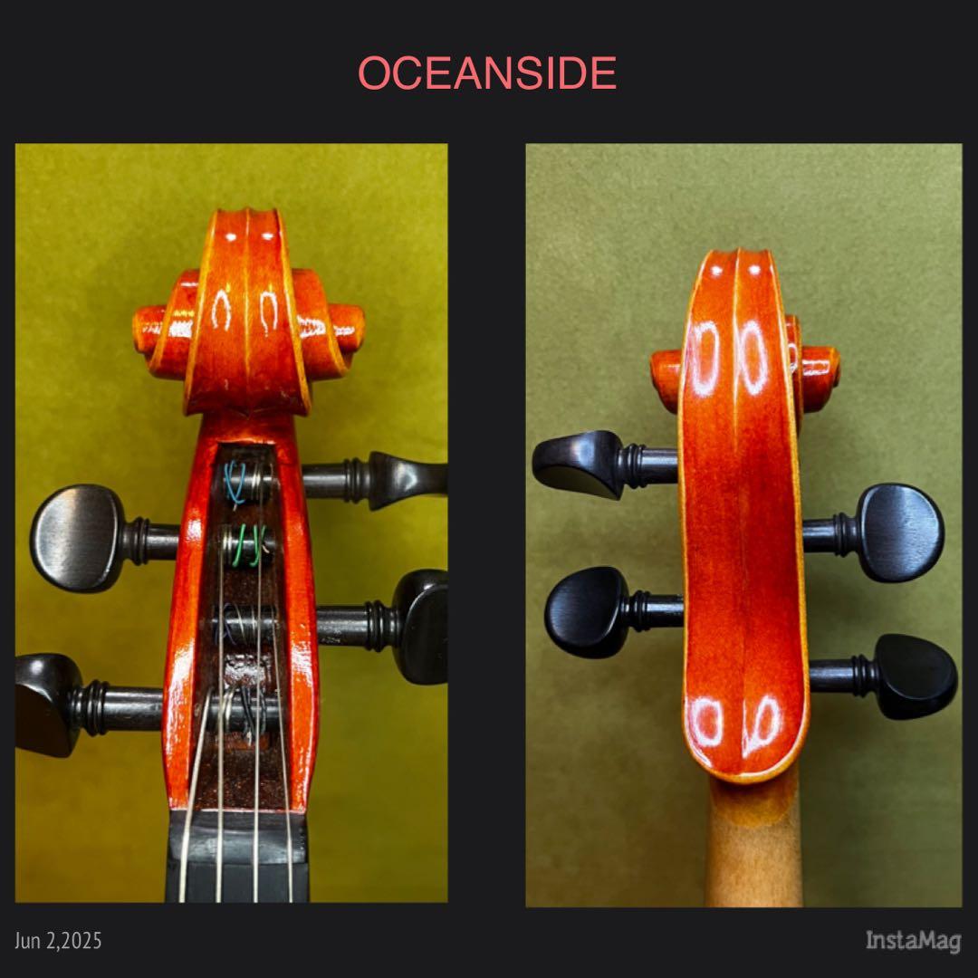 【新品弦張替⭐️】SUZUKIビオNo25 15.5inc ヴィオラ1994