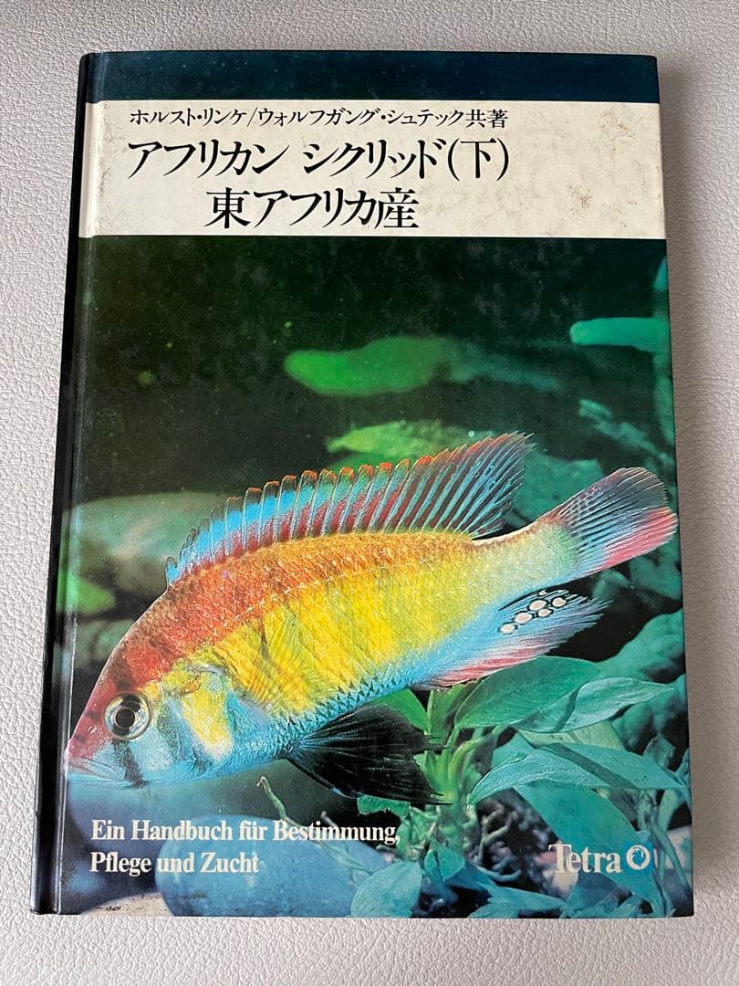 アフリカン　シクリッド(上)、西アフリカ産　シクリッド（下）東アフリカ産セット