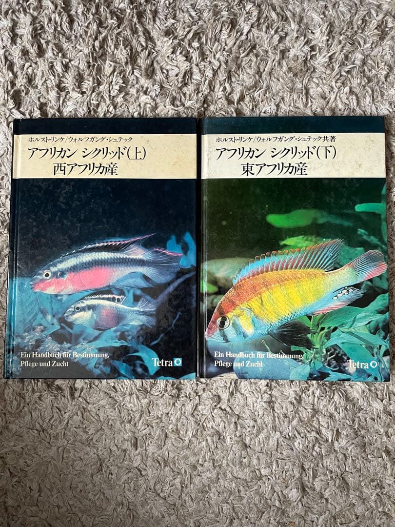 アフリカン　シクリッド(上)、西アフリカ産　シクリッド（下）東アフリカ産セット