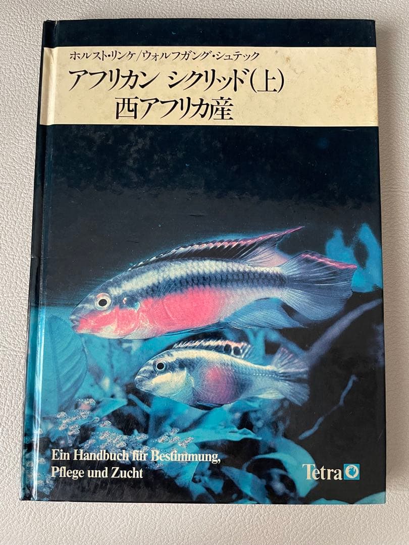 アフリカン　シクリッド(上)、西アフリカ産　シクリッド（下）東アフリカ産セット