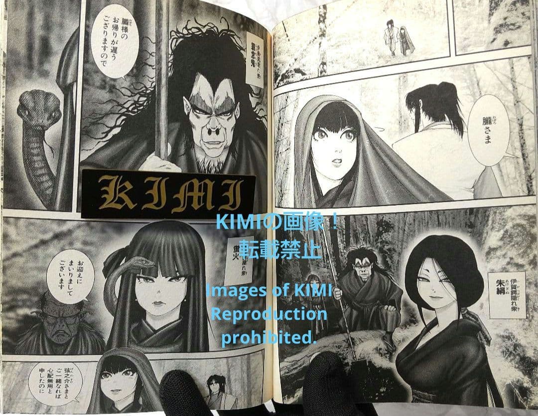 希少 初版 バジリスク 甲賀忍法帖 1 コミック 2003 Basilisk