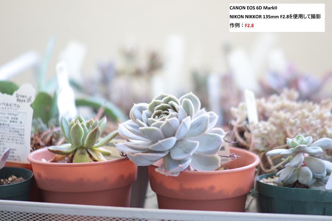 【動作OK】ニコン (Ai-s)Nikon NIKKOR 135mm F2.8