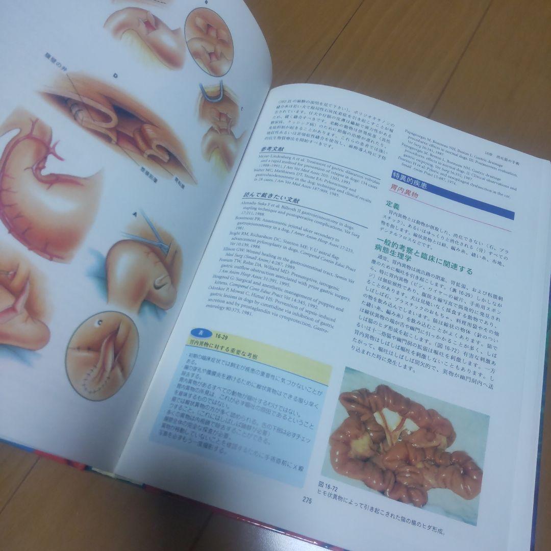 小動物外科手術 上