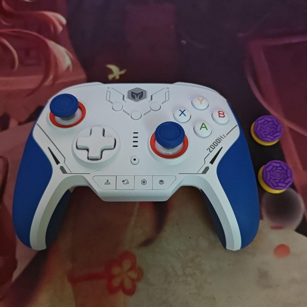 BIGBIGWON BLITZ2 コントローラー＆プロフリーク BLITZ2