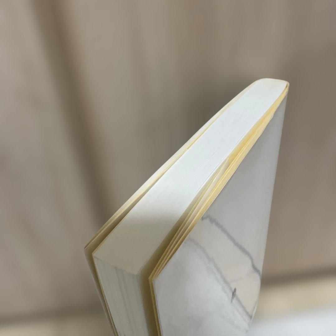 も*も様 微生物殺菌実用データ集　書き込み等無し　美品