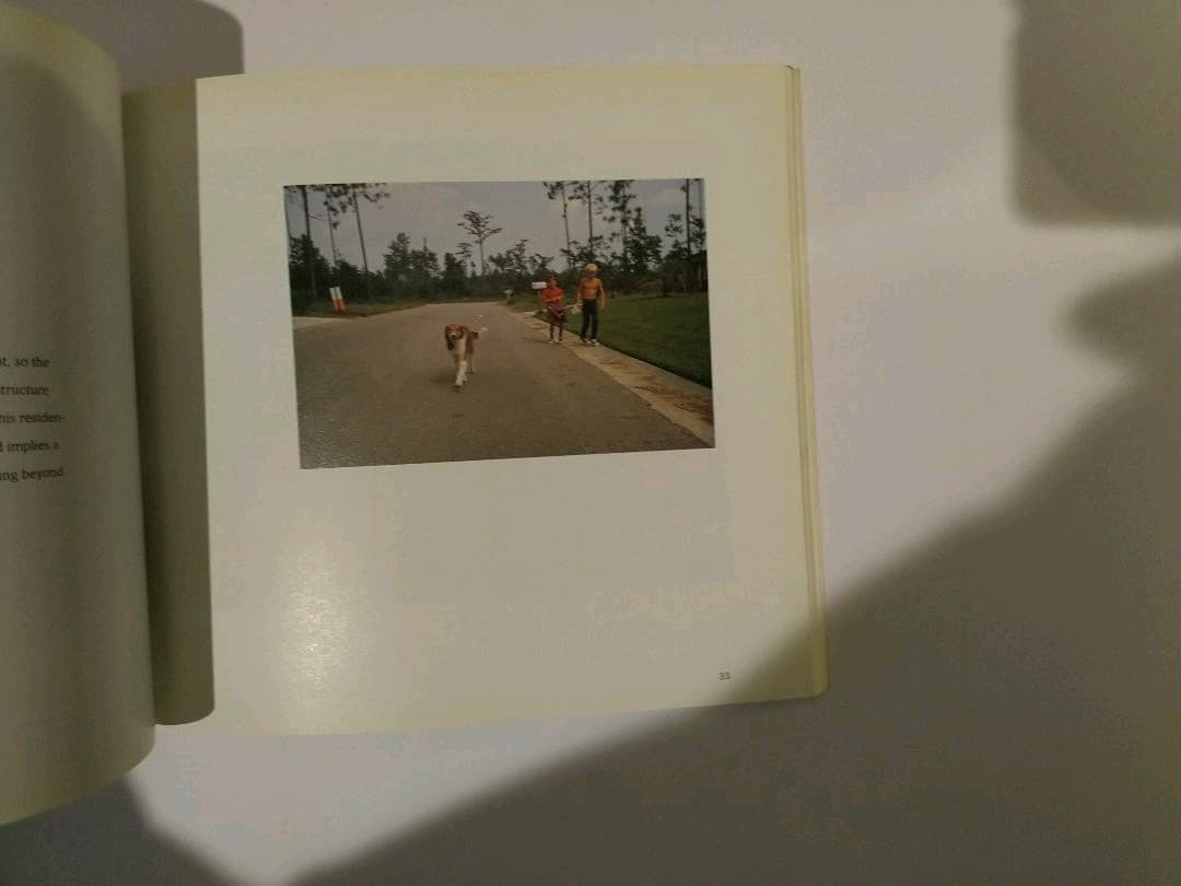 アート・デザイン・音楽 TheNature of Photographs StephenShore