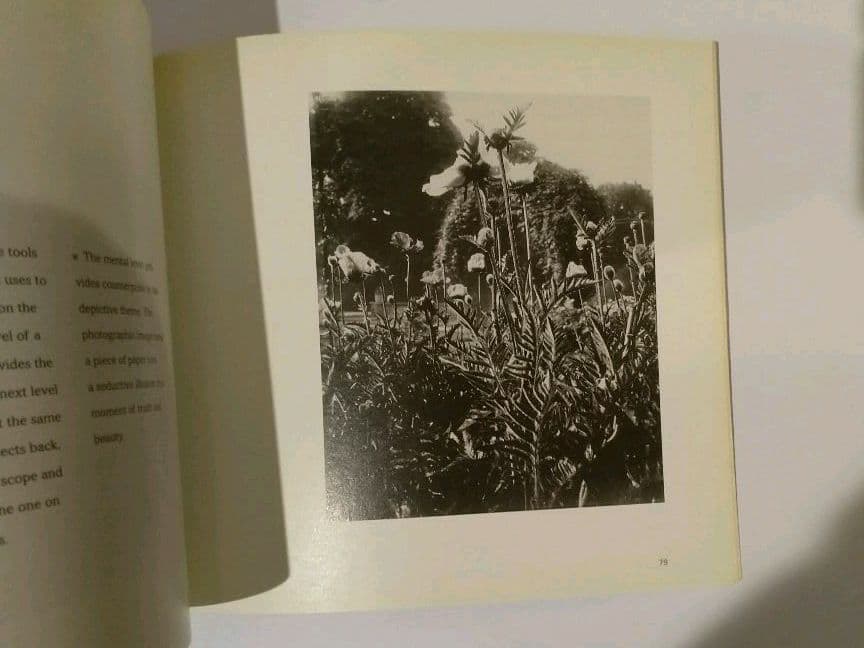 アート・デザイン・音楽 TheNature of Photographs StephenShore