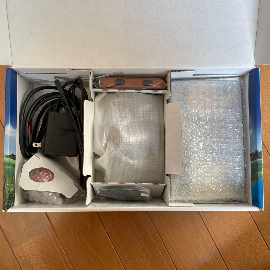 Nintendo Switch ピカチュウ＆イーブイver