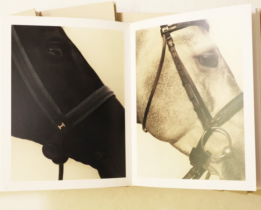 Koto Bolofo La Maison 11冊セット