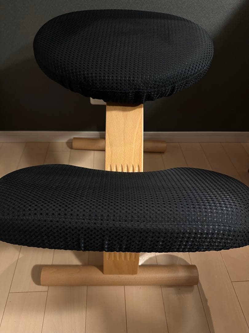 サカモト　バランスイージーチェア　ブラック