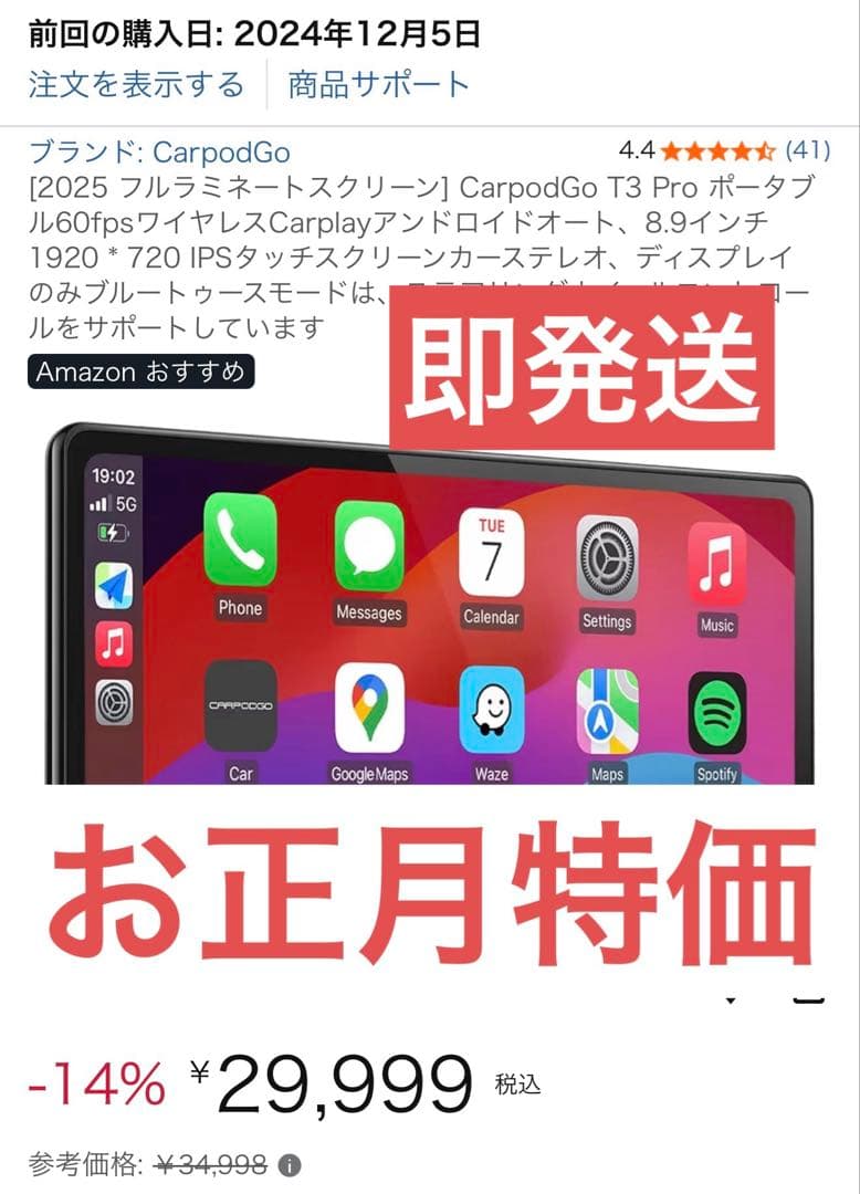 CarpodGo T3 Pro 8.9インチ CarPlay