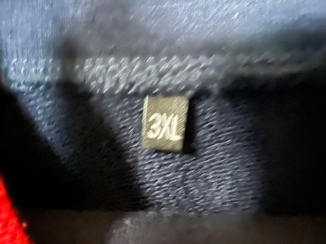 ヒョードル　本人着用パーカー　世界限定1着　RIZIN